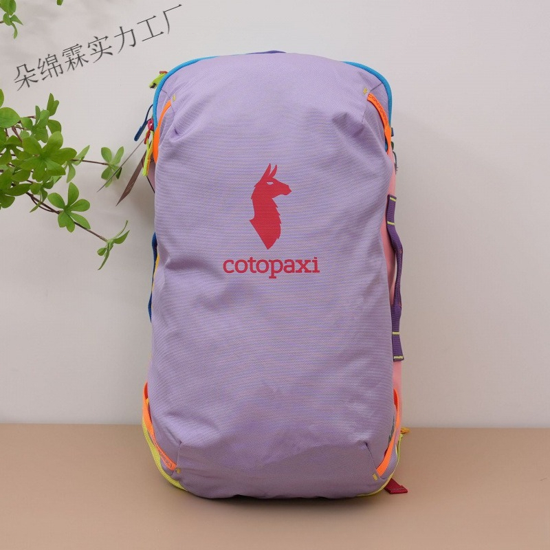 Travel Accessories For Men - Sac à dos imperméable bicolore pour